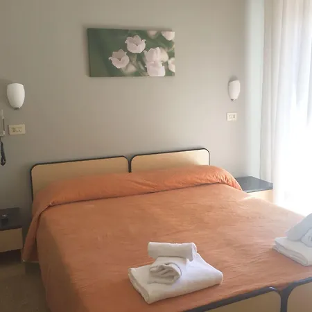 Hotel Ausonia