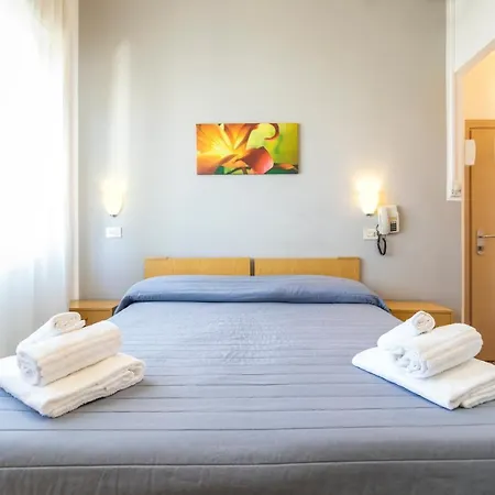 Hotel Ausonia 3*