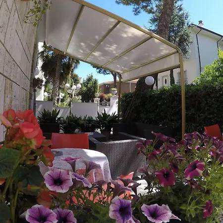 Ausonia Hotel Rimini