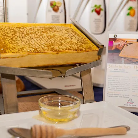 Ausonia 호텔 리미니