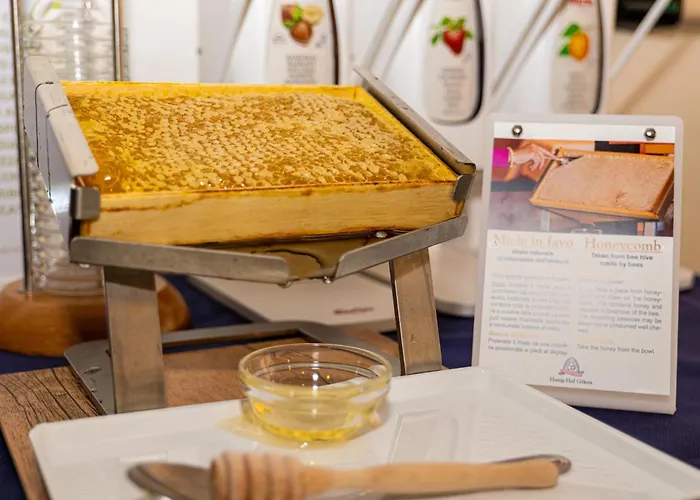 Ausonia 호텔 리미니